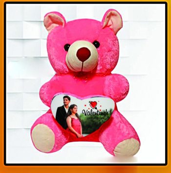 Teddy Sublimation pillow